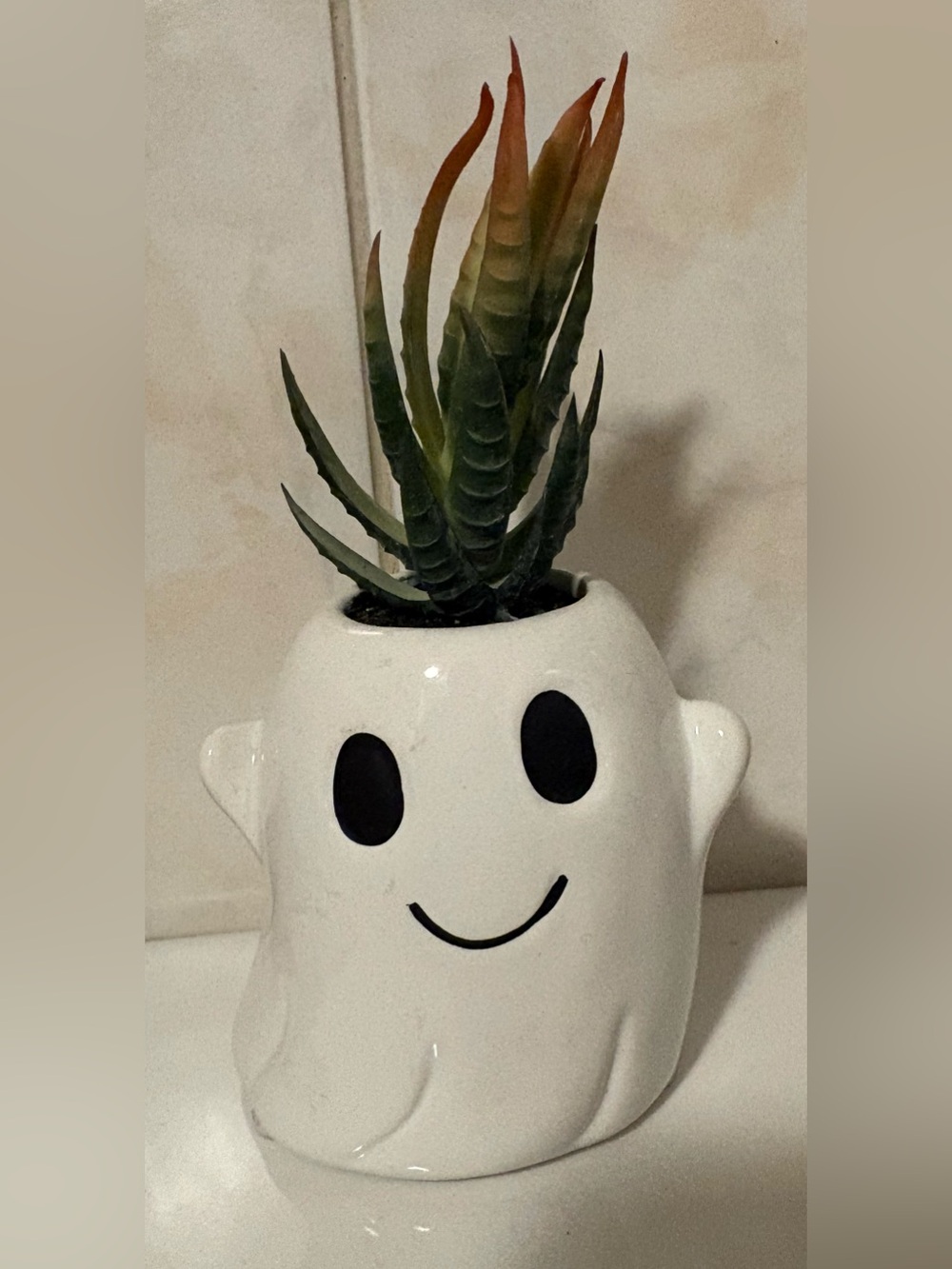Kohl's White Ghost Ceramic Planter with Green Faux Succulent